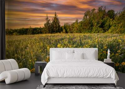 Texas Wildflowers at Sunrise Wall mural