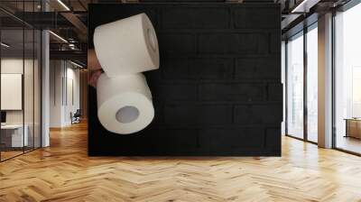 Toilet paper on a black brick background. The hand holds two rolls Wall mural