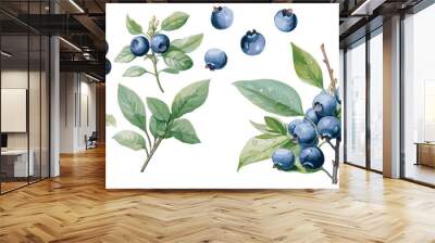 watercolor blueberry clipart for graphic resources Wall mural