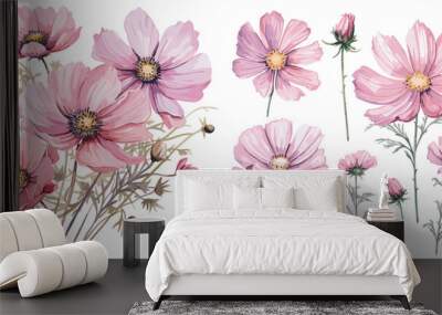 watercolor cosmos flower clipart for graphic resources Wall mural