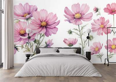 watercolor cosmos flower clipart for graphic resources Wall mural