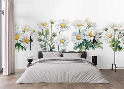 watercolor daisy clipart for graphic resources Wall mural