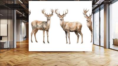 watercolor deer christmas clipart for graphic resources Wall mural