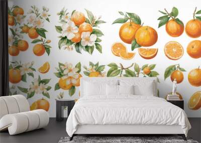 watercolor orange fruit clipart for graphic resources Wall mural