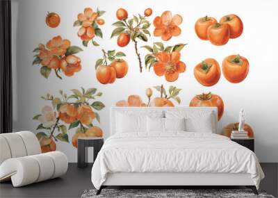 watercolor persimmon clipart for graphic resources Wall mural