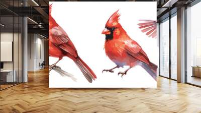 Watercolor Red Cardinal Bird clipart for graphic resources Wall mural