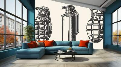 Hand grenades vintage set monochrome Wall mural