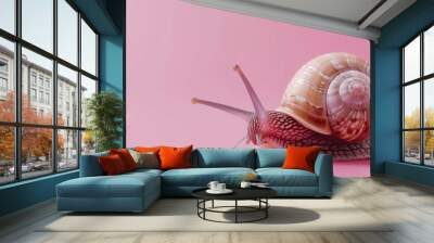 snail background mockup Wall mural