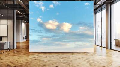 Bright sky on cloudy morning with soft clouds, calm sunrise with copy space. Fresh air on a soothing day, details of cloud shapes and patterns at sunset. Beautiful harmony in nature on zen afternoon Wall mural