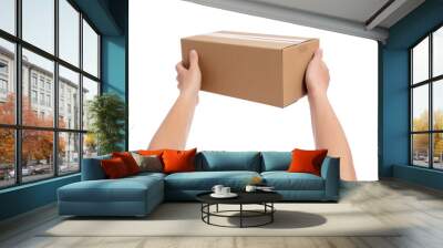 male hands giving cardboard box isolated on white Wall mural