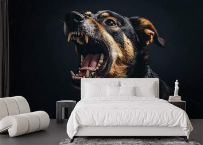 portrait of aggressive barking dog with open mouth on black Wall mural