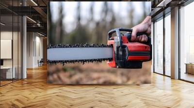 red gasoline chainsaw in male hand Wall mural