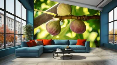 Dripping ripe fig on the tree, soft focus Wall mural