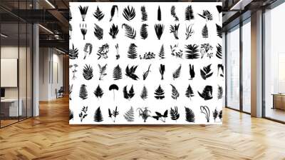 fern silhouette set	 Wall mural