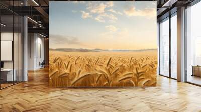 A wheat field border with blue sky and white clouds landscape Wall mural