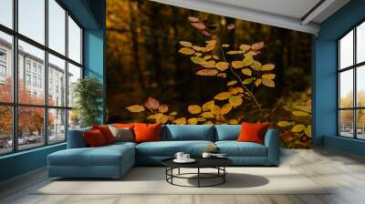 autumn leaves in the forest Wall mural