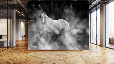 Beautiful mustang mare  Wall mural