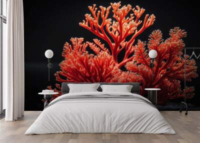 Beautiful red coral on black background. Illuminated with the contour light.  Wall mural