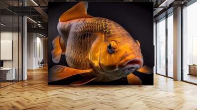 carp Wall mural