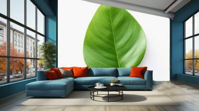 Green leaf isolated on white background Wall mural