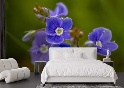 blue flowers on green background Wall mural