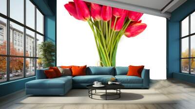 bunch of red tulips isolated on white Wall mural