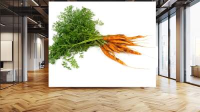 freshly picked carrots isolated on white Wall mural