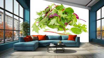 lettuce mix Wall mural