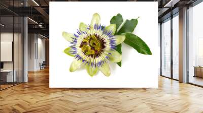 passion flower isolated on white background Wall mural