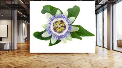 passion flower isolated on white Wall mural