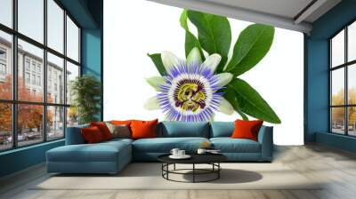 passion flower isolated on white Wall mural