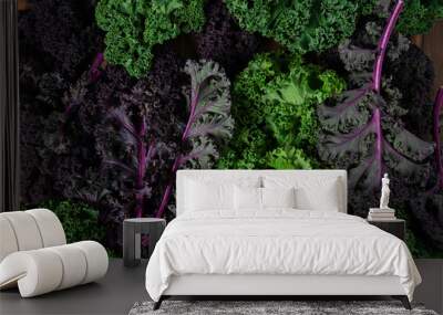 red and green kale on brown wooden surface Wall mural