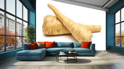 two fresh parsnip roots on a white background Wall mural