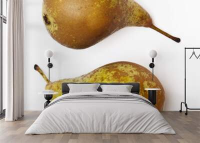 two pears Wall mural