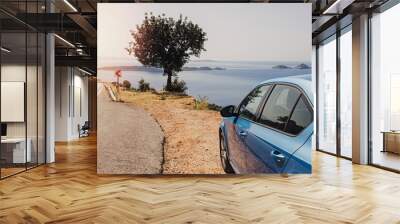 Blue car stopped roadside near the sea on sunny day Wall mural