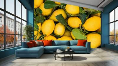 Fresh juicy lemons on the farmers market Wall mural