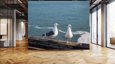 Two white seagulls close-up over the blue sea Wall mural