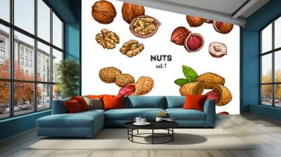 Walnut, peanut, hazelnut, almond. Hand drawn set with nuts. Vector illustration isolated on white background. Doodle healthy food illustrations Wall mural