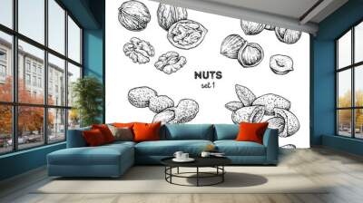 Walnut, peanut, hazelnut, almond. Hand drawn set with nuts. Vector illustration isolated on white background. Doodle healthy food illustrations Wall mural