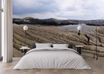 Panoramic view of an arid landscape created by the Mud Volcanoes in Berca, Romania. A mud volcano or mud dome is a landform created by the eruption of mud or slurries, water and gases Wall mural