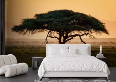 Umbrella thorn acacia tree (Vachellia tortilis) at sunrise in Amboseli National Park, Kenya, East Africa Wall mural