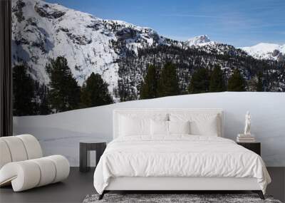 montagna Wall mural