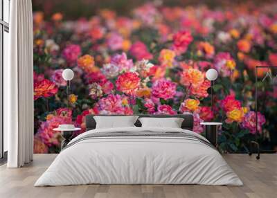 Roses in bloom Wall mural