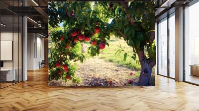 Peach Orchard 2 Wall mural