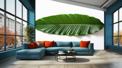 tropical leaf green nature isolated on white background Wall mural