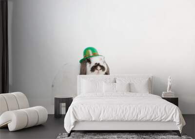 White and Brown Rabbit on White Background with St. Patrick's Day Hat Wall mural