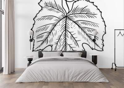 Hand drawn grape leaf. Vector illustration Wall mural