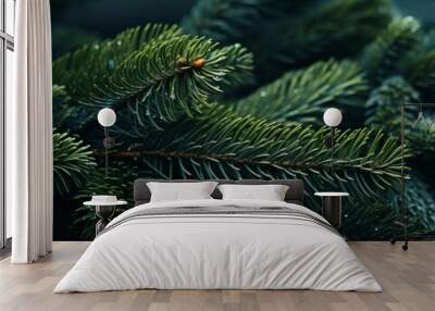 Christmas fir tree branches Background. Christmas pine tree wallpaper Wall mural