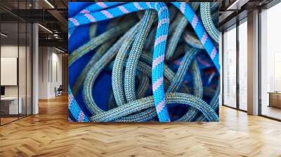 Pile of blue, red, yellow and green rock climbing rope Wall mural