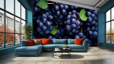 Flat lay background of vines, lots of organic blue dark grapes. Wall mural